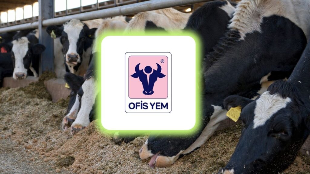 OFSYM Hisse Yorumu (Ofis Yem Gida Sanayi Ticaret A.Ş.)