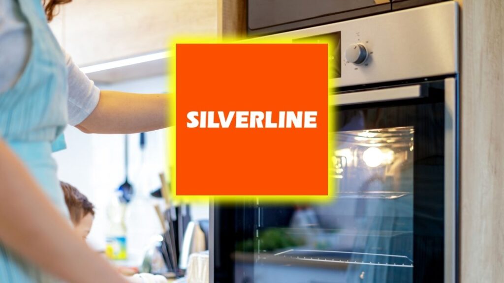 SILVR Hisse Yorumu (Silverline Endustri ve Ticaret A.S.)