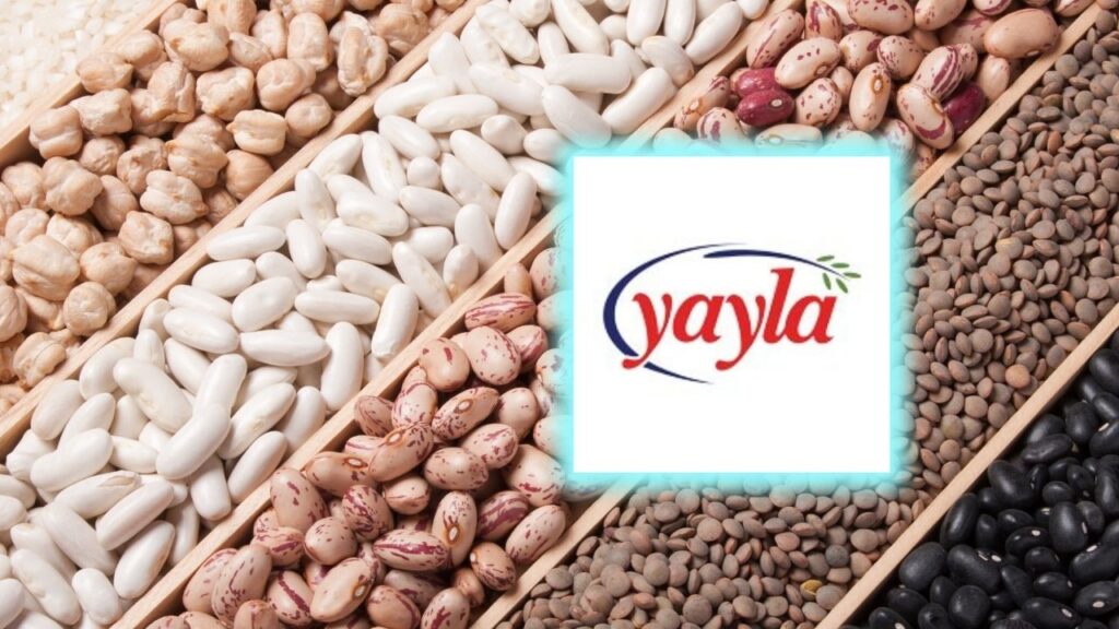 Yayla Agro Gıda (YYLGD) Hedef Fiyatları Düştü!
