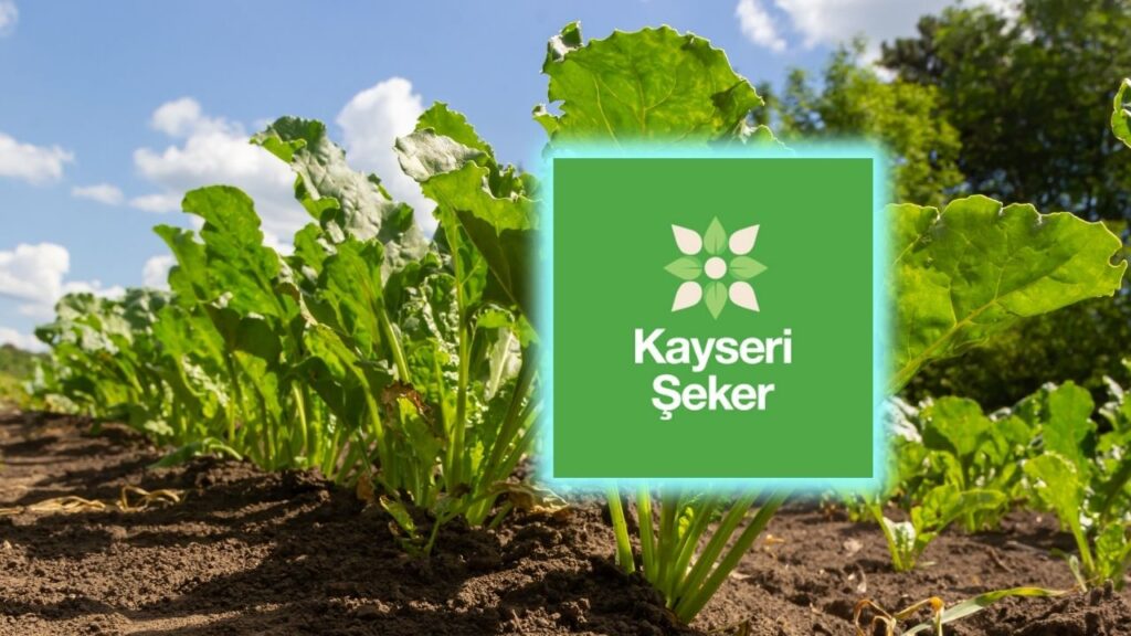 Kayseri Şeker’den (KAYSE) 10 Milyon Dolarlık Sigorta Hamlesi!