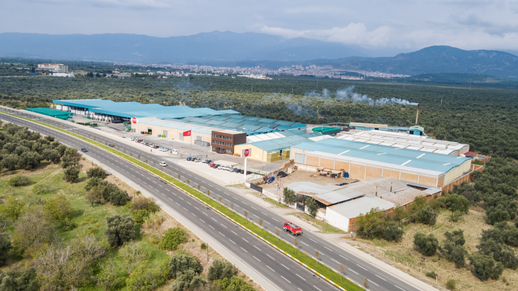 Cem Zeytin (CEMZY)’den 500 Milyon TL’lik Pay Geri Alım Programı!