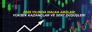2025 Yılında Halka Arzlar: Yüksek Kazançlar ve Sert Düşüşler!